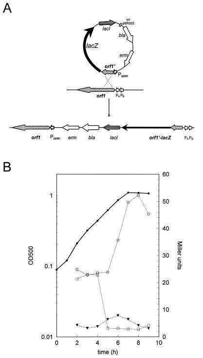 FIG. 1