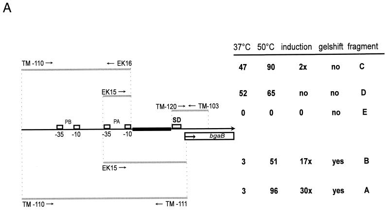 FIG. 5