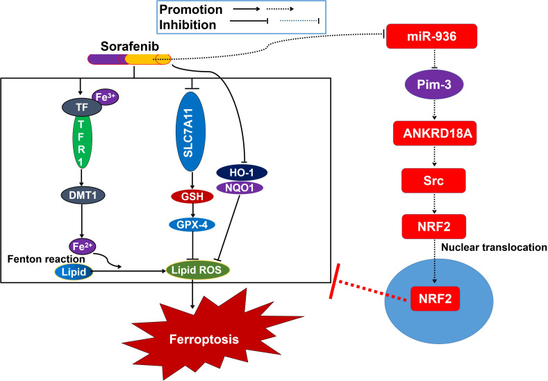 Figure 6