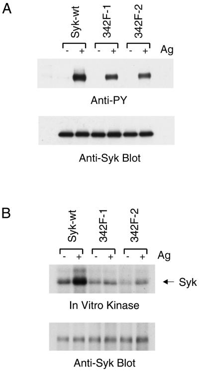 FIG. 5.