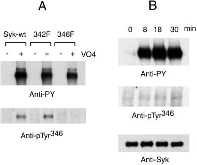 FIG. 8.