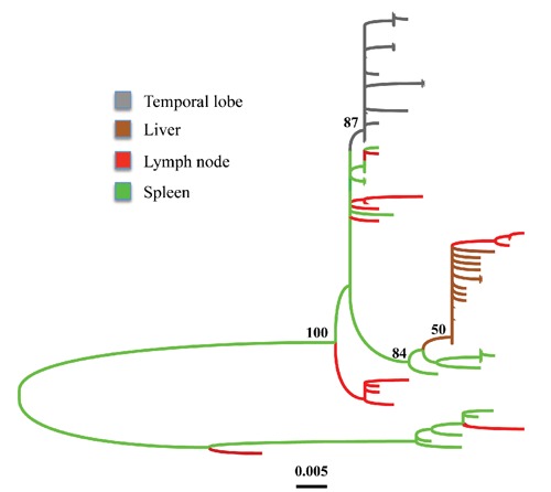 Figure 2.