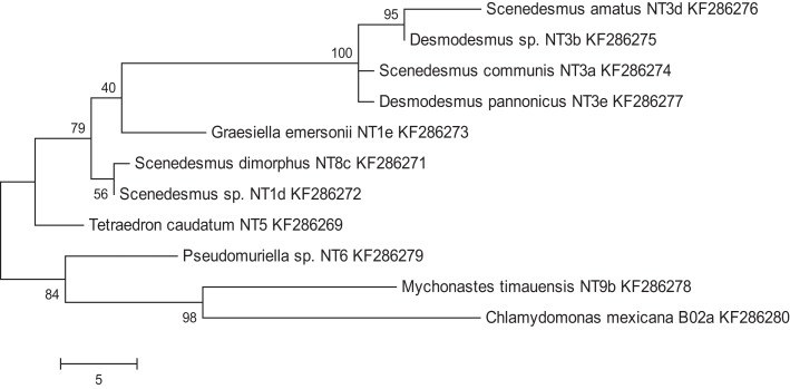 Figure 2