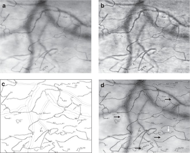 Fig. 2