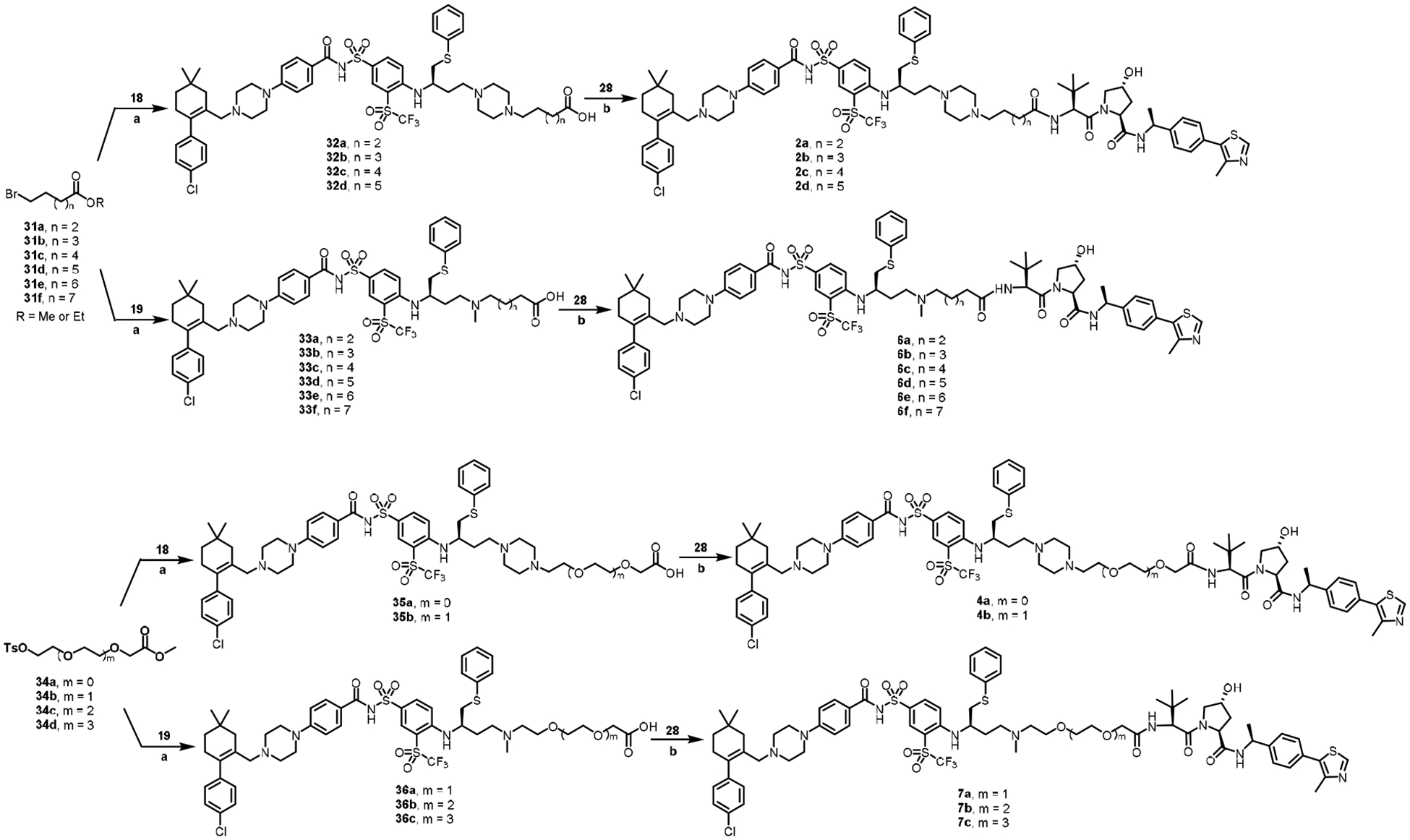 Scheme 3.