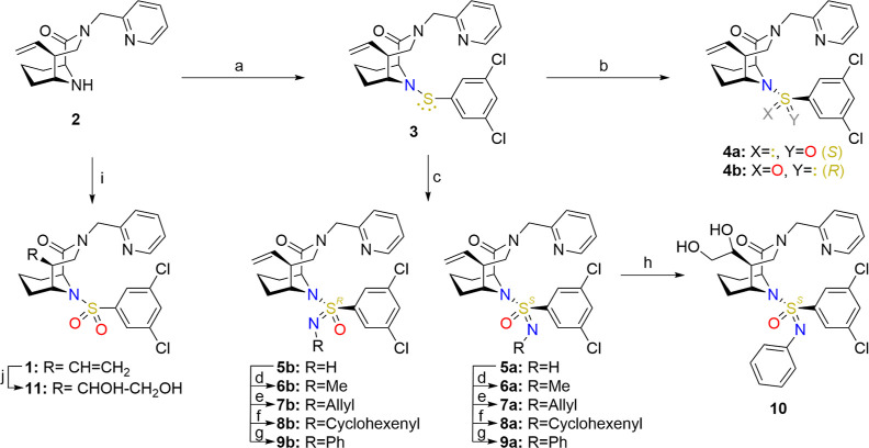 Scheme 1