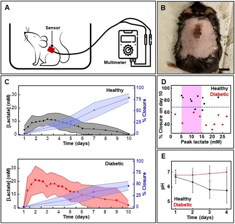 Figure 4.