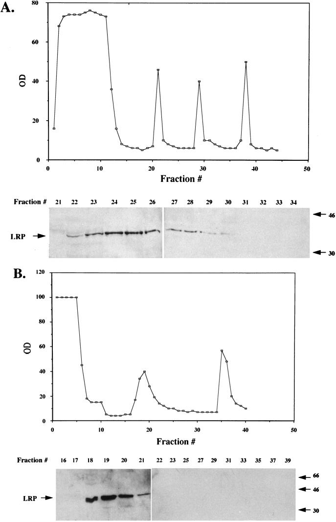 FIG. 8