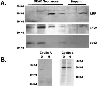 FIG. 10