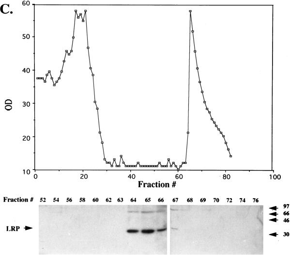 FIG. 8