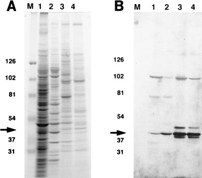 FIG. 9