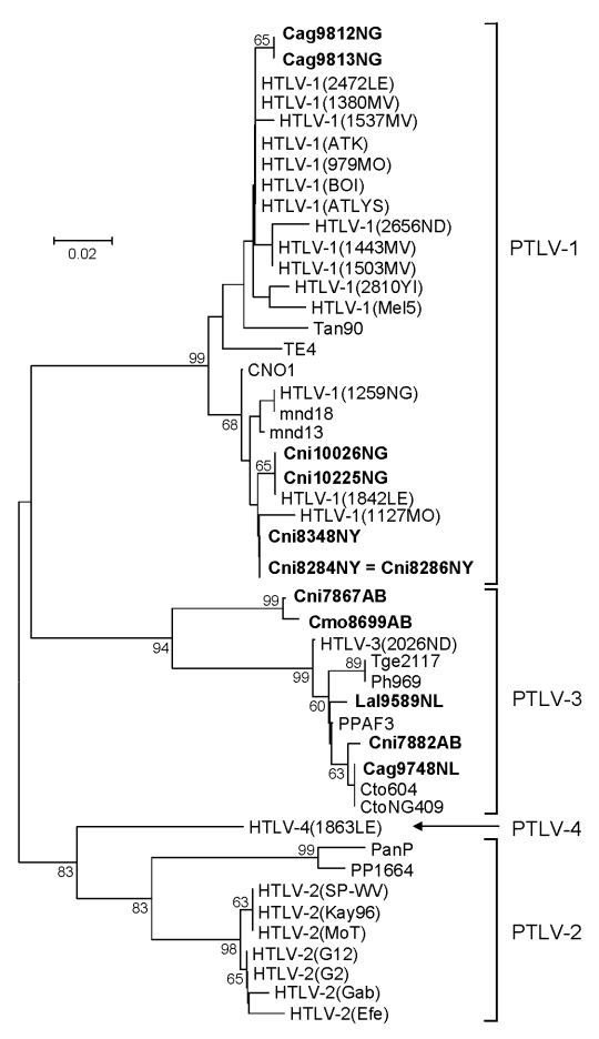 Figure 2