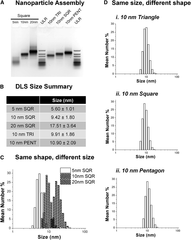 Figure 2