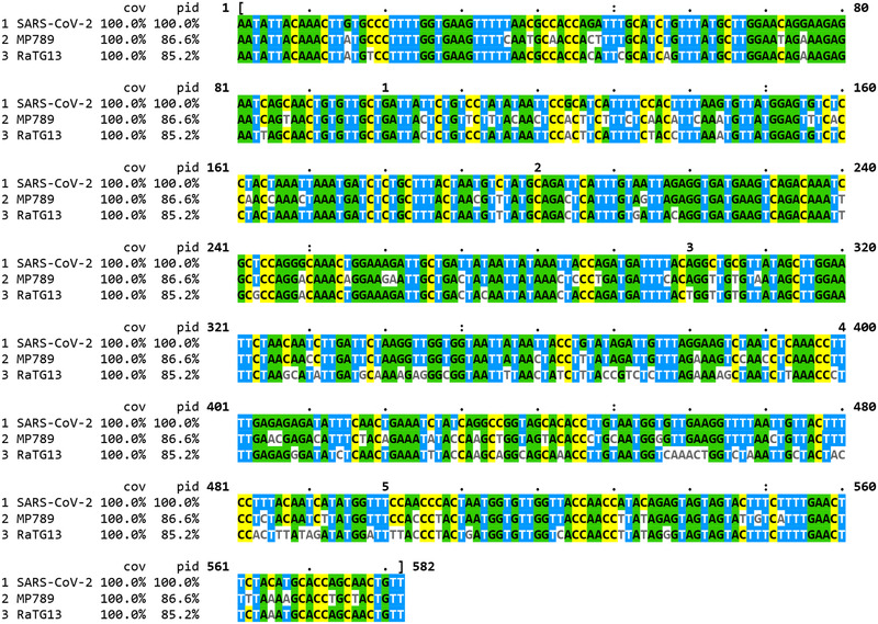 FIGURE 2