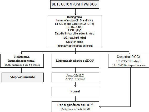 Figura 2