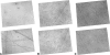 Fig. 5A–C