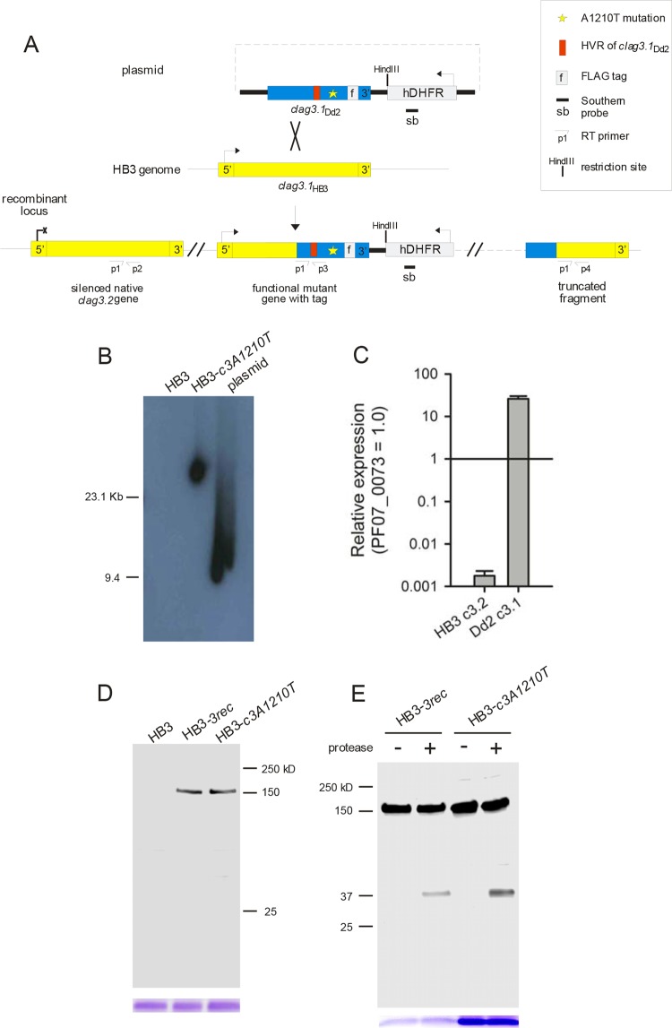 FIG 2