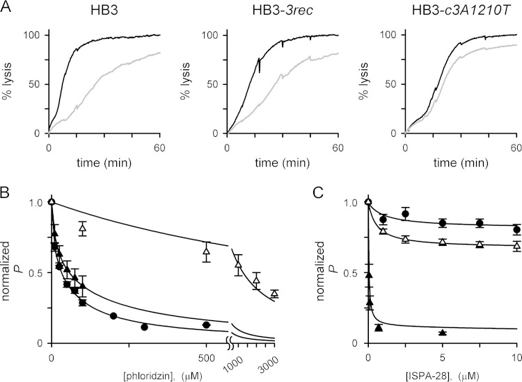 FIG 4