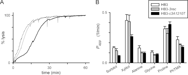 FIG 3