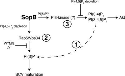 Figure 9.