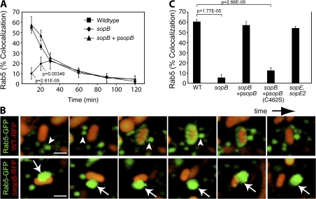 Figure 6.