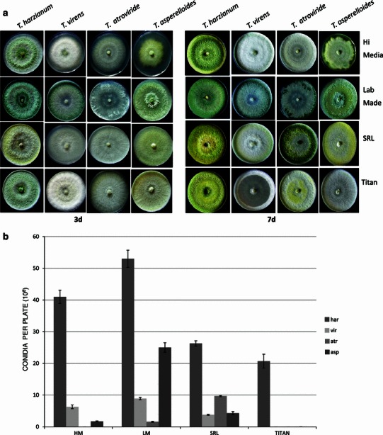 Fig. 9