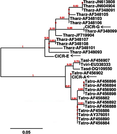 Fig. 2