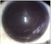 Supplemental Fig. 4