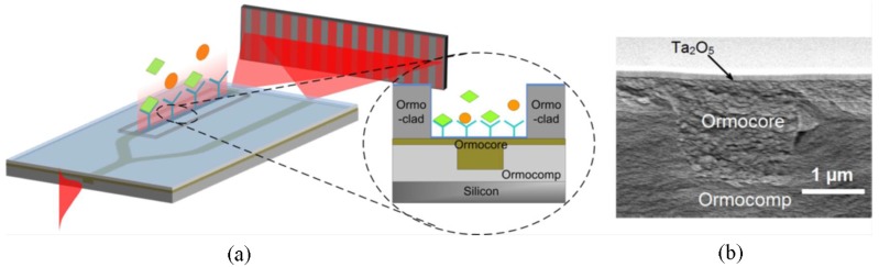 Figure 30