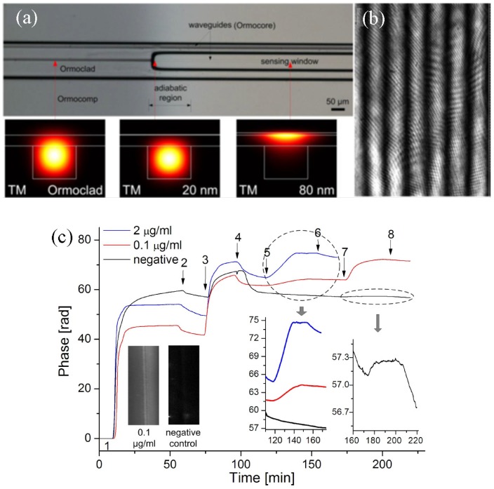 Figure 31