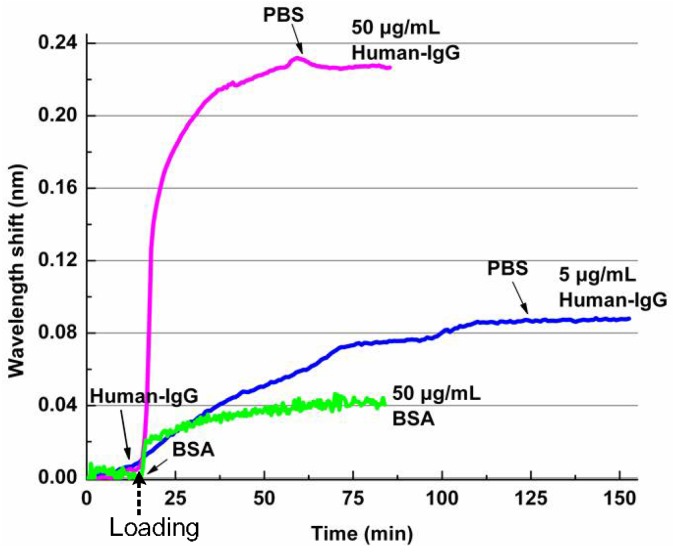 Figure 29