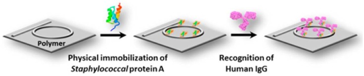 Figure 26