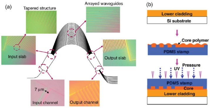 Figure 12