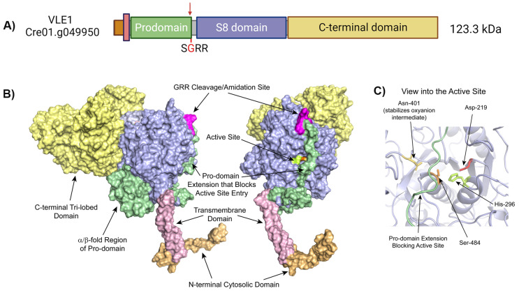 Figure 6