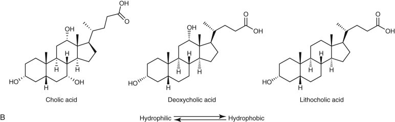 Figure 61-3