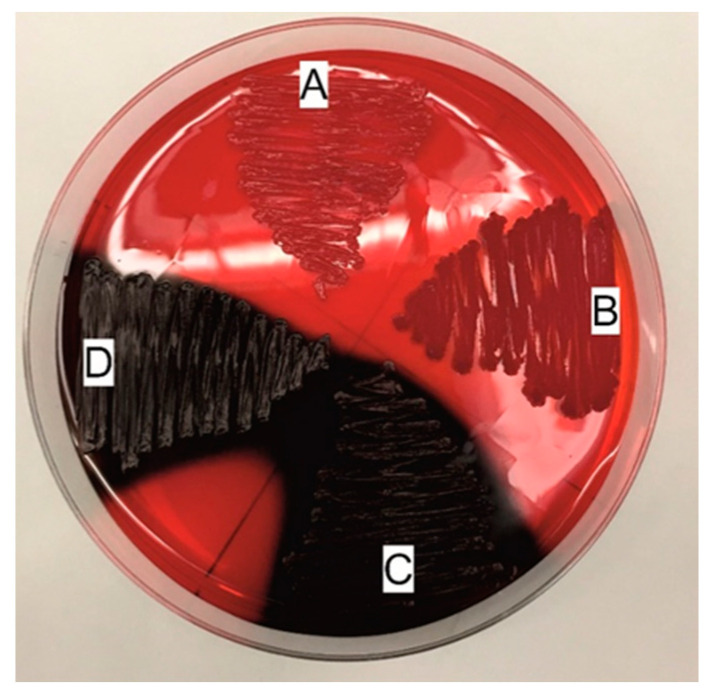 Figure 5