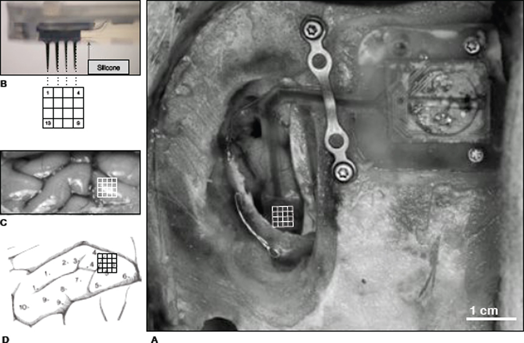 Fig. 4