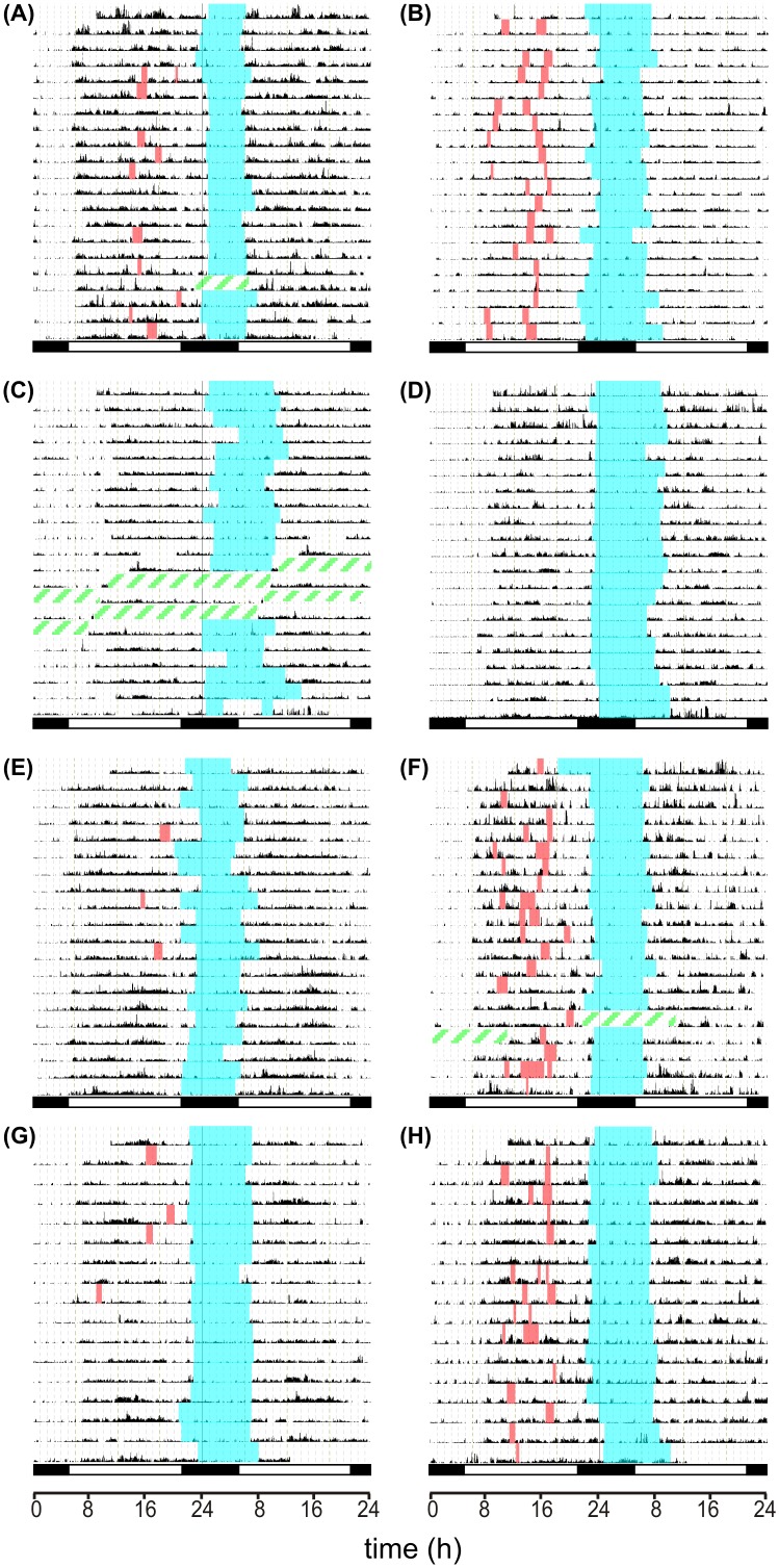 Fig 3