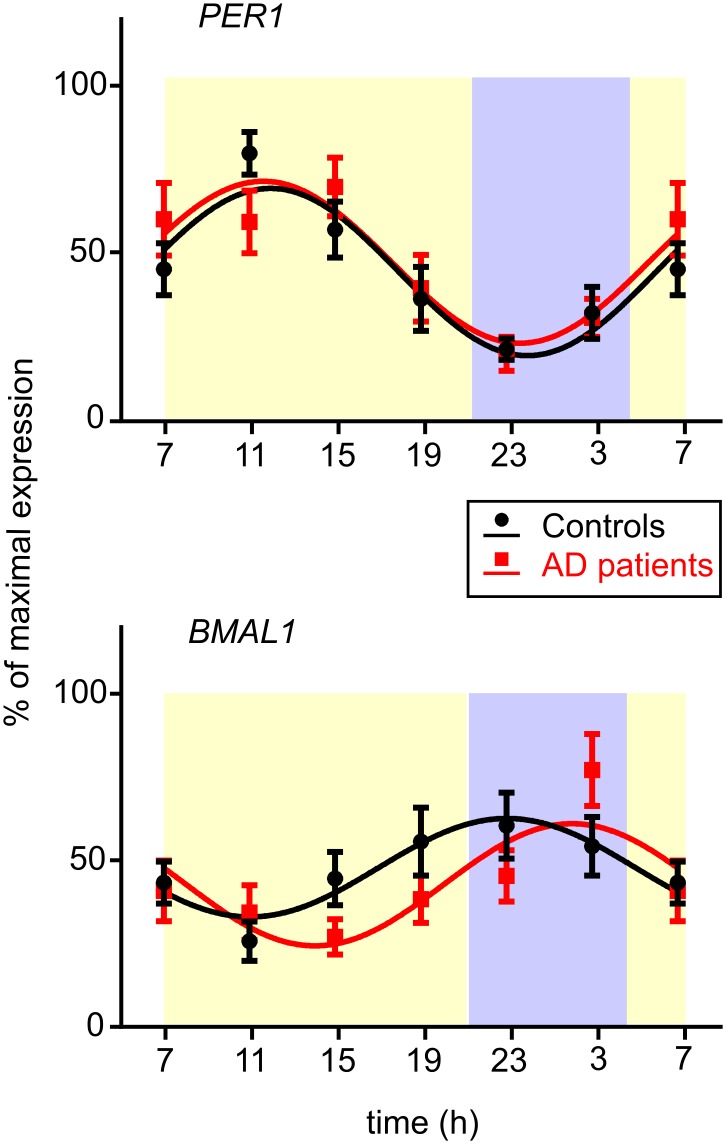 Fig 6