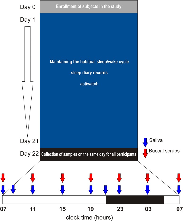 Fig 1