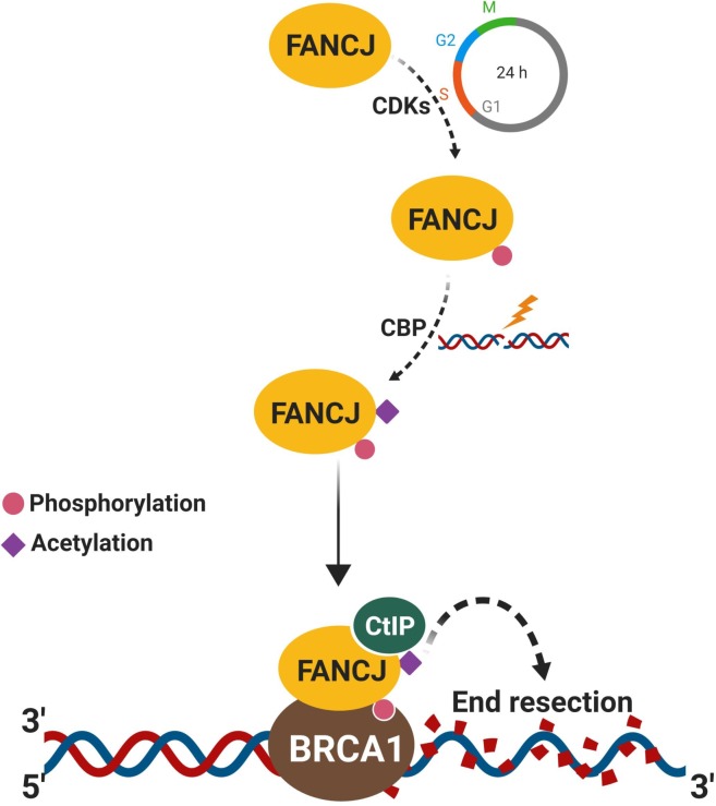 Fig 10