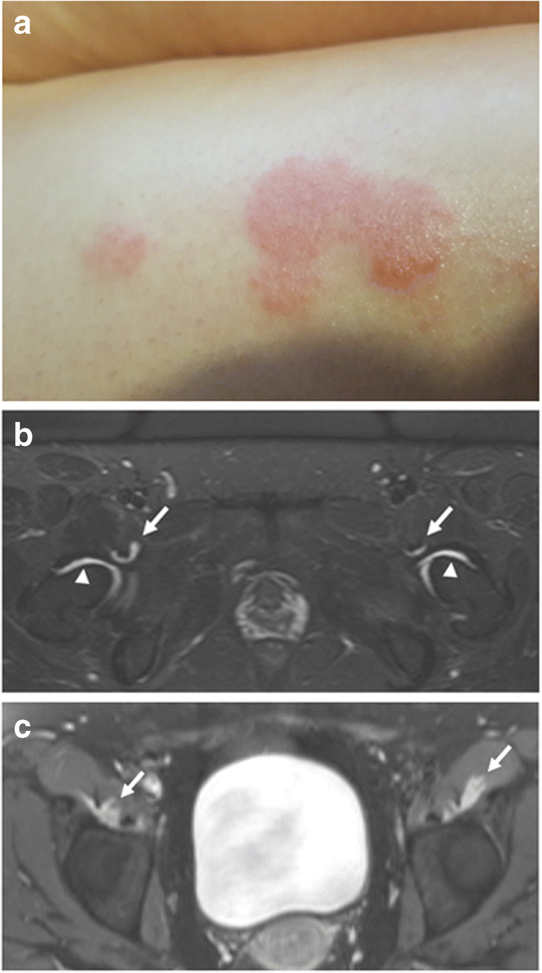 Fig. 7