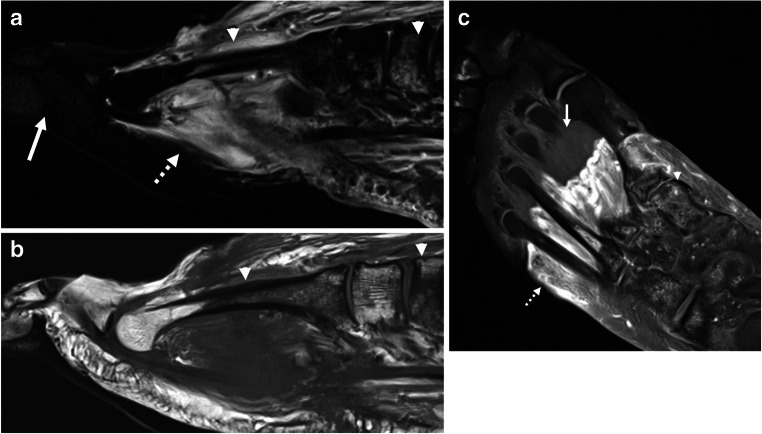 Fig. 8