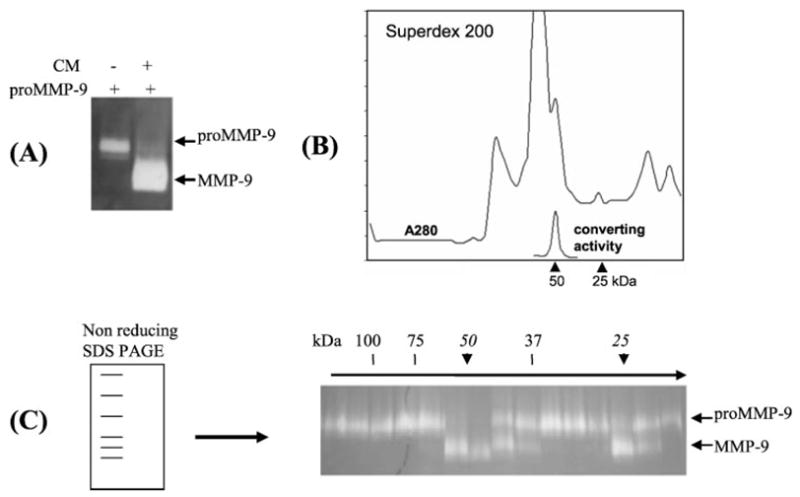 FIGURE 3