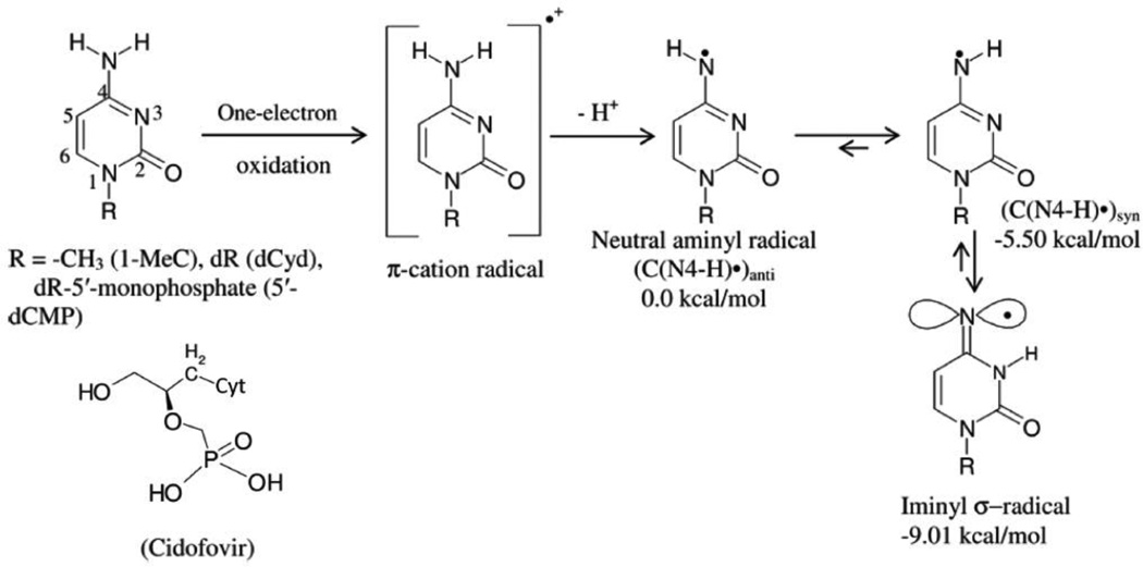 Scheme 1