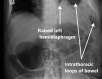 Figure 6