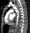 Figure 5