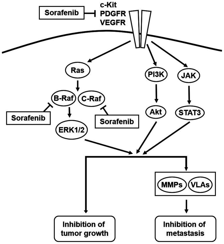 Figure 9.