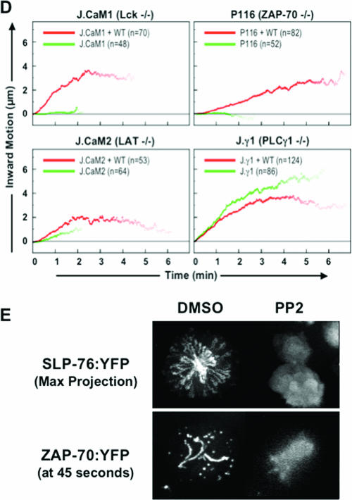 FIG.2.