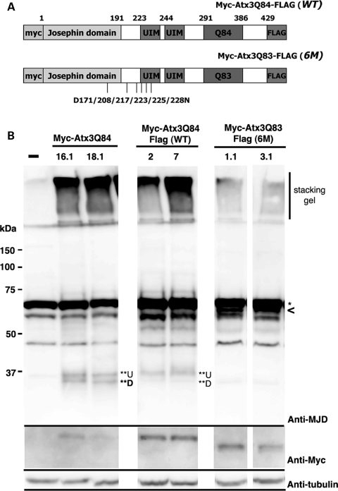 Figure 3.